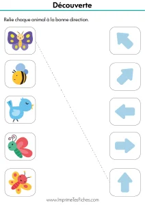 Fiche d'exercice MS : relier des animaux (poissons, oiseaux) aux flèches indiquant la gauche, la droite, le haut et le bas.