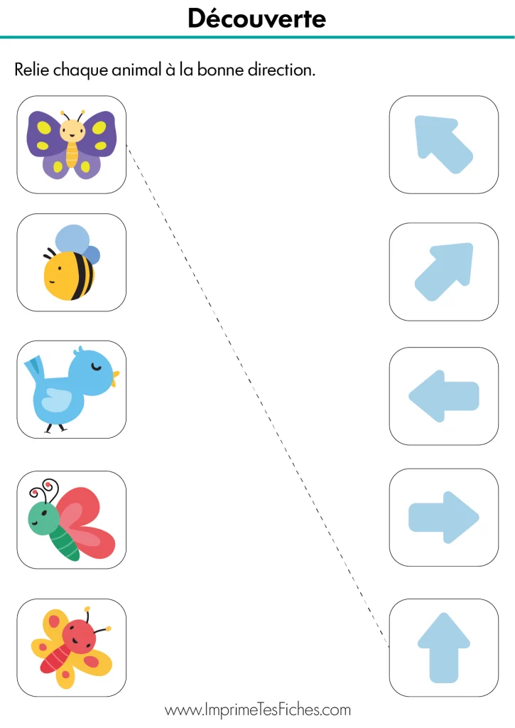 Fiche d'exercice MS : relier des animaux (poissons, oiseaux) aux flèches indiquant la gauche, la droite, le haut et le bas.