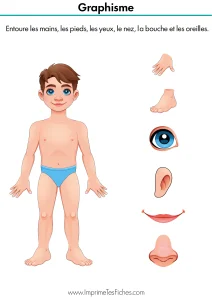 Fiche pédagogique montrant les organes des sens et les membres : main, pied, bouche, œil, nez, oreille.