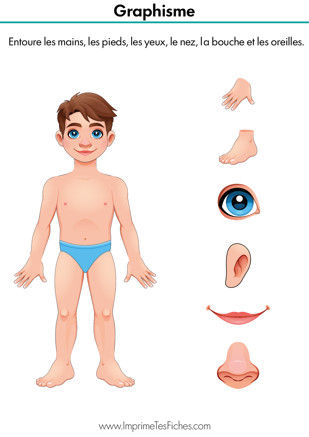Fiche pédagogique montrant les organes des sens et les membres : main, pied, bouche, œil, nez, oreille.